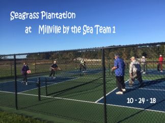Seagrass Plantation @ MBTS Team 1 10-24-18 pic 4 enhanced